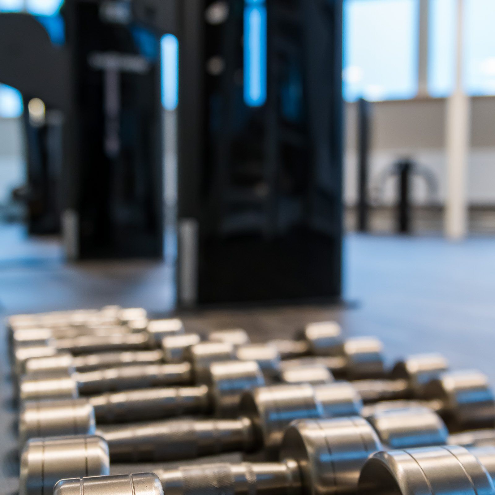 Gymmet i Knalleland – Svensons Hälsocenter, Borås